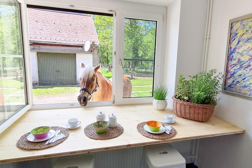 Cosy Family Apartment Reichenau Buitenkant foto